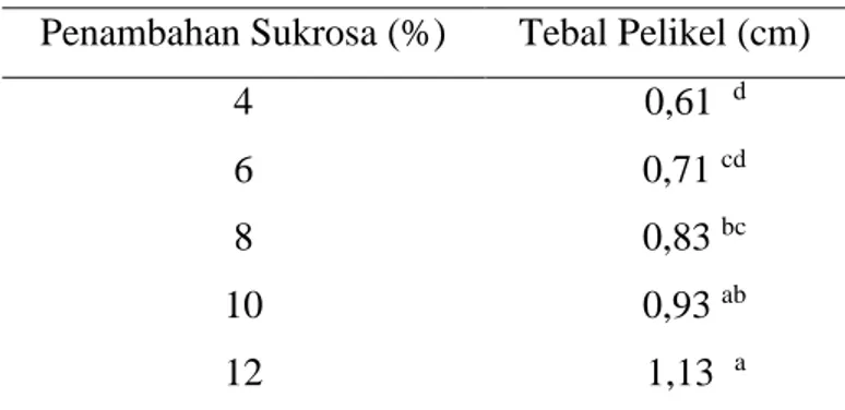 Tabel 2. Berat Pelikel Nata Kulit Buah Naga  Penambahan Sukrosa (%)  Berat Pelikel (g) 