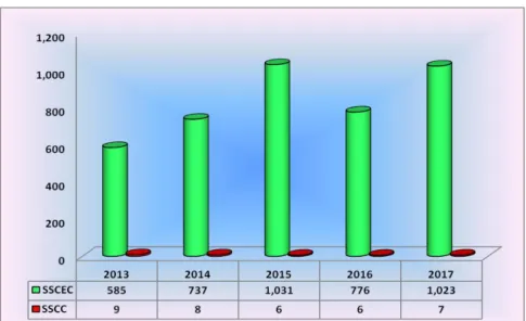 Grafik 3.2. Penerbitan SSCEC/SSCC Tahun 2013 – 2017 