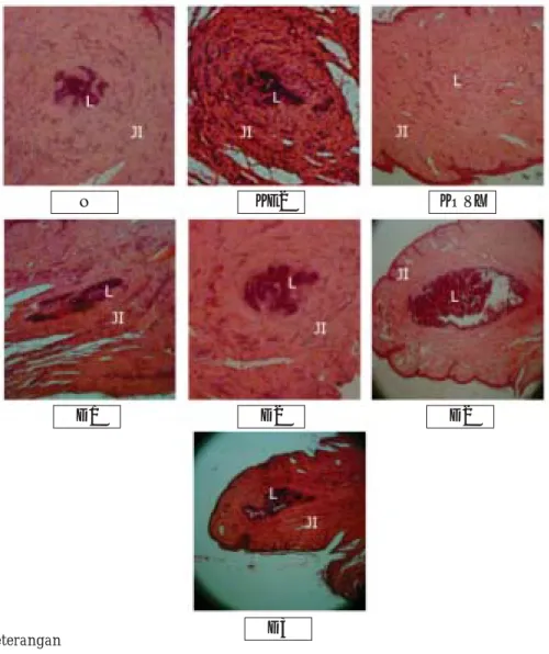 Gambar 2. Struktur histologi kelenjar mamae tikus betina dewasa yang diovariektomi setelah perlakuan 16 hari (perbesaran 100 x)