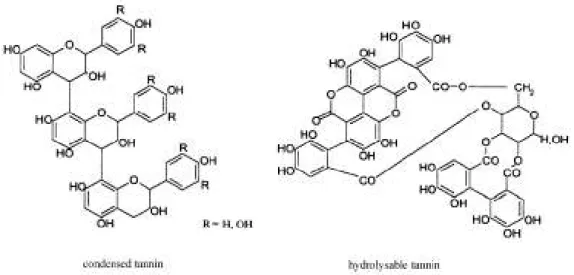 Gambar  2.  Struktur  kimia  tanin  terkondensasi  dan  tanin  terhidrolisis  (McSweeney  et  al.,  2001)