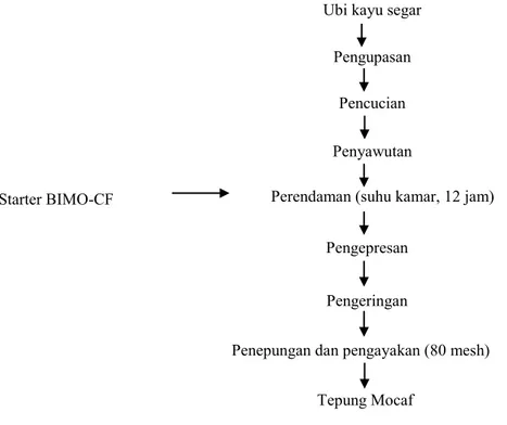 Gambar 1. Diagram alir pembuatan tepung kasava 