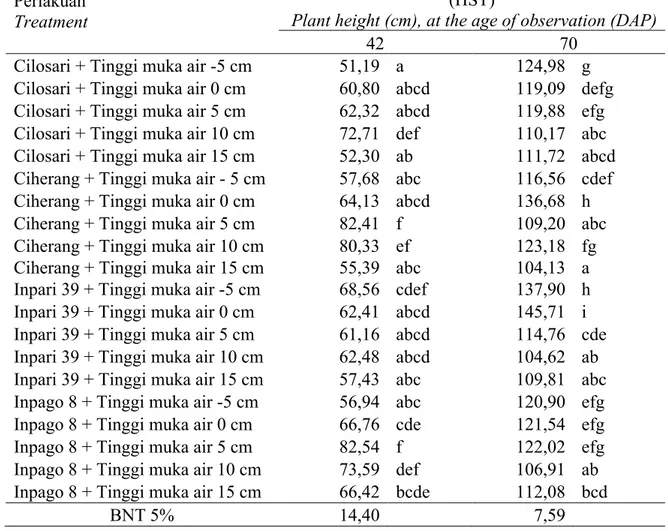 Tabel 2. Rerata tinggi tanaman akibat interaksi perlakuan varietas padi dan tinggi muka air  pada umur tanaman 42 dan 70 HST  