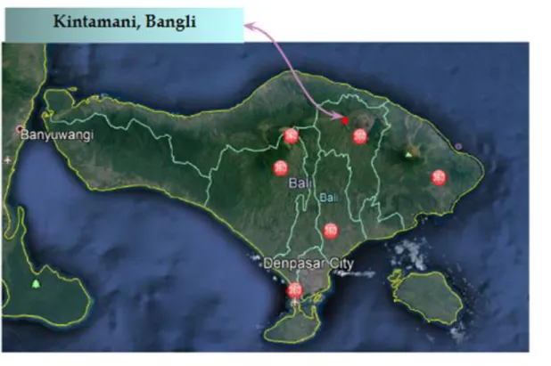 Gambar 2.2 Pulau Bali yang di Down Load dari Google Maps 