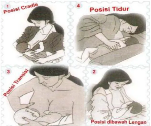 Gambar 2.1 Macam-macam posisi saat menyusui 