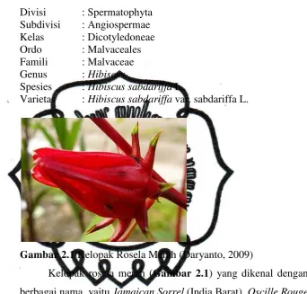 Gambar 2.1 Kelopak Rosela Merah (Daryanto, 2009) 