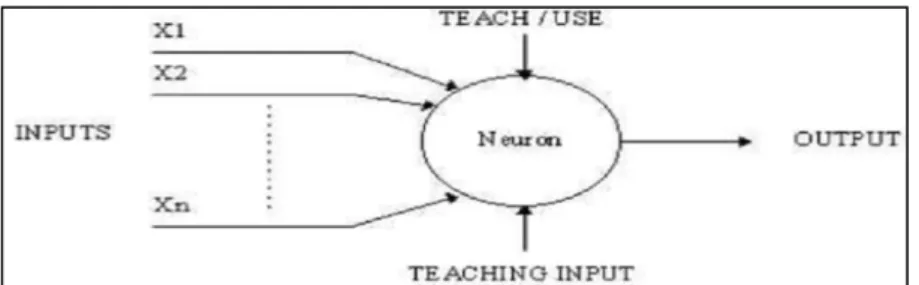 Gambar 2.1. Struktur Jaringan Saraf sederhana 
