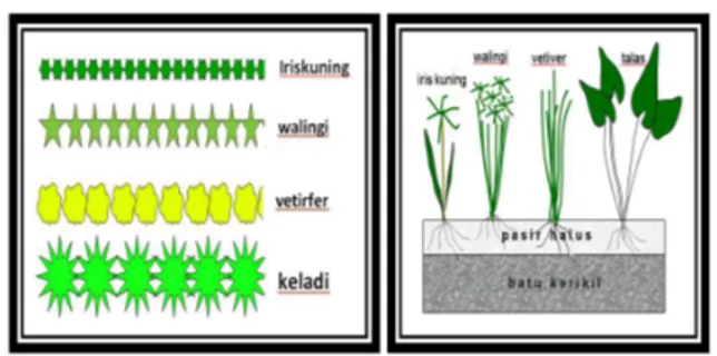 Gambar 2. Penempatan  masing-masing  tanaman  pada  wadah/ media kajian dilihat dari atas( kiri) &amp;  samping (kanan)