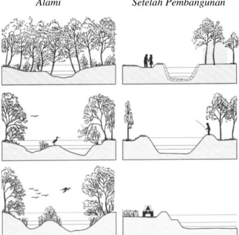 Gambar 2.8  Perbedaan kondisi sungai alamiah dan kondisi sungai setelah pelurusan   Sumber : Agus Maryono 2007 Alami            Setelah Pembangunan 
