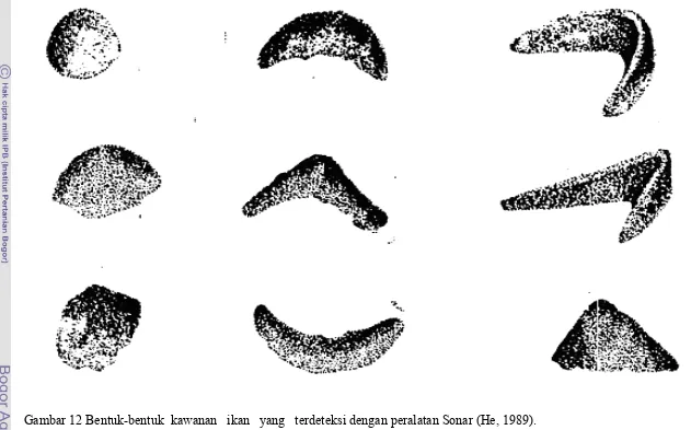 Gambar 12 Bentuk-bentuk  kawanan   ikan   yang   terdeteksi dengan peralatan Sonar (He, 1989)