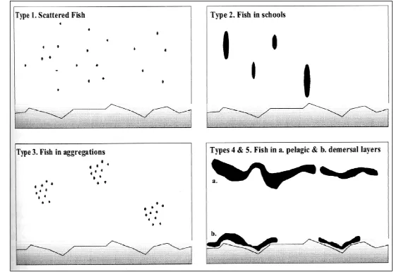 Gambar 13 Pola sebaran ikan di dalam kolom air (Reid et al., 2000).  