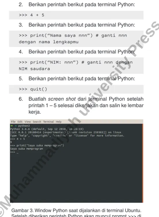 Gambar 3. Window Python saat dijalankan di terminal Ubuntu. 