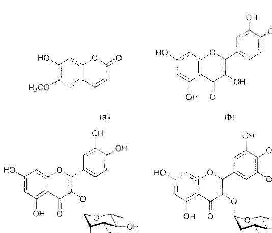 Gambar 1. Persentase penghambatan aktivitas kerja enzim tirosinase terhadap fraksi etil asetat daun kayu bawang pada reaksi monofenolase (_) dan difenolase () 