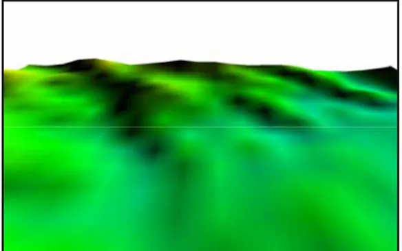 Gambar 14. Tampilan 3D DEM dari Palsar  Pada gambar di atas terlihat kondisi bare earth dari  DEM Alos Palsar di mana kondisi permukaan objek  sudah tidak ada lagi