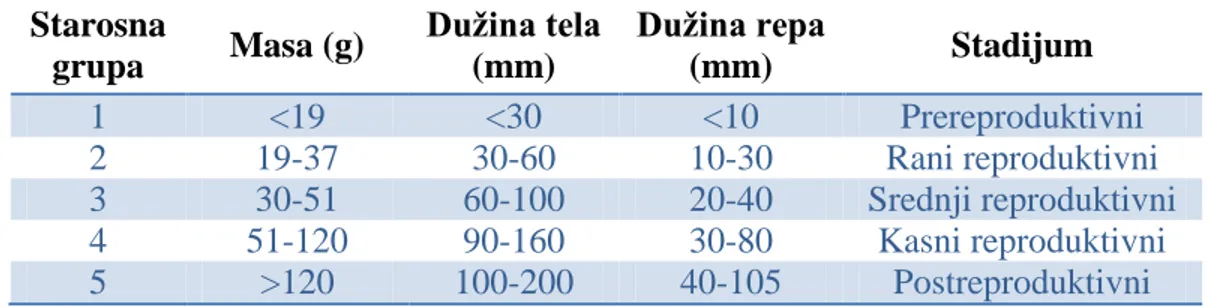 Tab. 3. Tabela za odreĎivanje starosnih grupa kod A. terrestris 