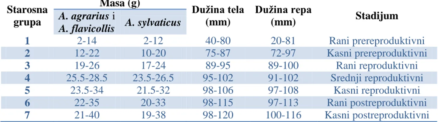 Tab. 5. Tabela za odreĎivanje starosnih grupa kod A. agrarius, A. flavicollis i A. sylvaticus 