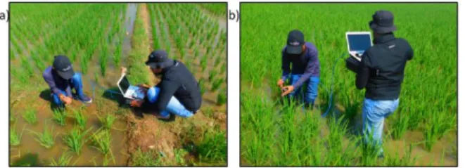 Gambar 3. Pengukuran nilai reflectance tanaman padi  dengan menggunakan spectroradiometer  