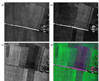 Gambar 14. Hasil perekaman data citra dengan  menggunakan drone-kamera multispectral pada beberapa  band: a) Green, b) Red, c) NIR dan d) kombinasi band 