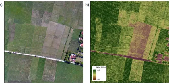 Gambar 15. Data citra resolusi tinggi yang diambil oleh drone; a) Image RGB dan b) NDVI 