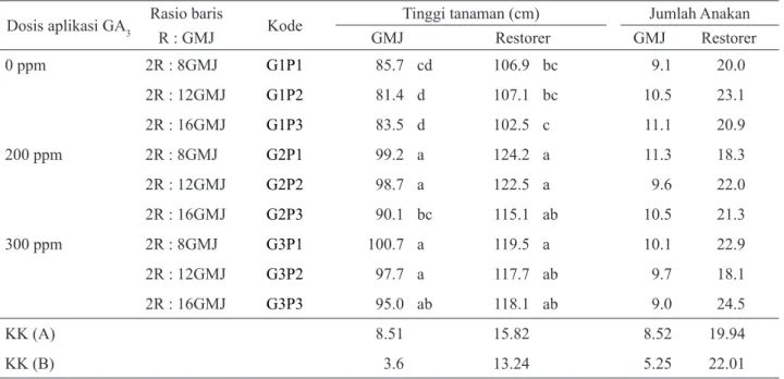 Tabel 3. Tinggi tanaman dan jumlah anakan GMJ dan restorer HIPA 14 Dosis aplikasi GA 3 Rasio baris 