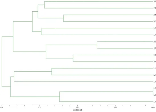 Fig. 1. Association among hybrids and parental inbred lines revealed by cluster analysis   of SSR distance data 