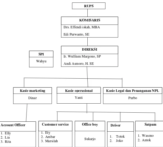 Gambar 2. Struktur Organisasi BPR Shinta Putra Pengasih Kulon Progo. 