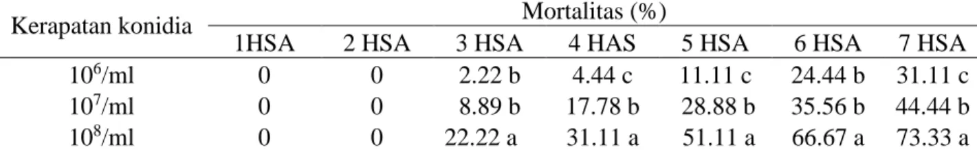 Tabel  2.  Mortalitas  larva  Spodoptera  litura  pada berbagai  tingkat  kerapatan  konidia  (%)  pada  1-7  hari setelah aplikasi (HSA)