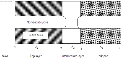 Fig. 1.  Schematic diagram of flow model occurring in a zeolite membrane.  The feed is at the left hand side, whereas permeate is in the opposite (beyond the support)  