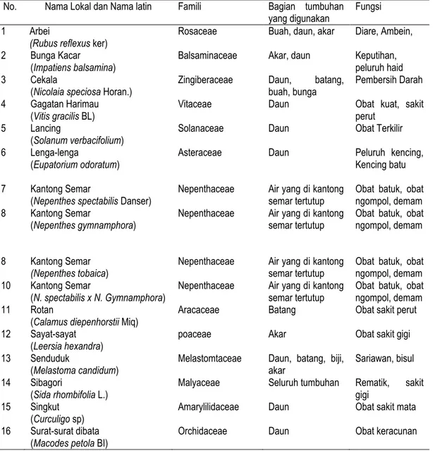 Tabel 1. Jenis-jenis tumbuhan obat yang ditemukan di kawasan gunung Sibuatan, Kecamatan Merek, Kabupten karo 