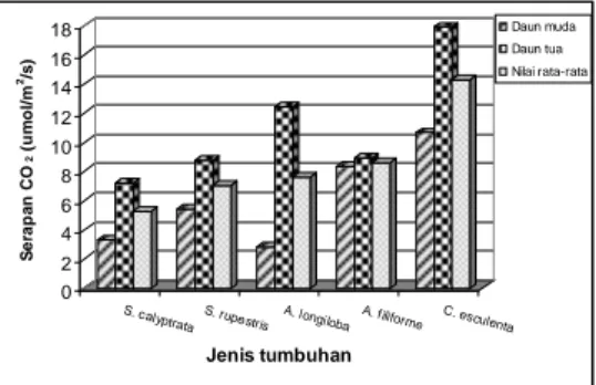 Gambar 3. Kemampuan penyerapan CO 2  pada lima jenis tumbuhan lantai hutan