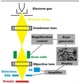 Gambar 2.16. Diagram SEM (Reed, 1993)