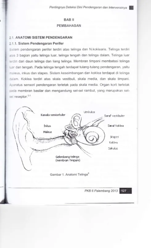Gambar 1. Anatomi Telinga6
