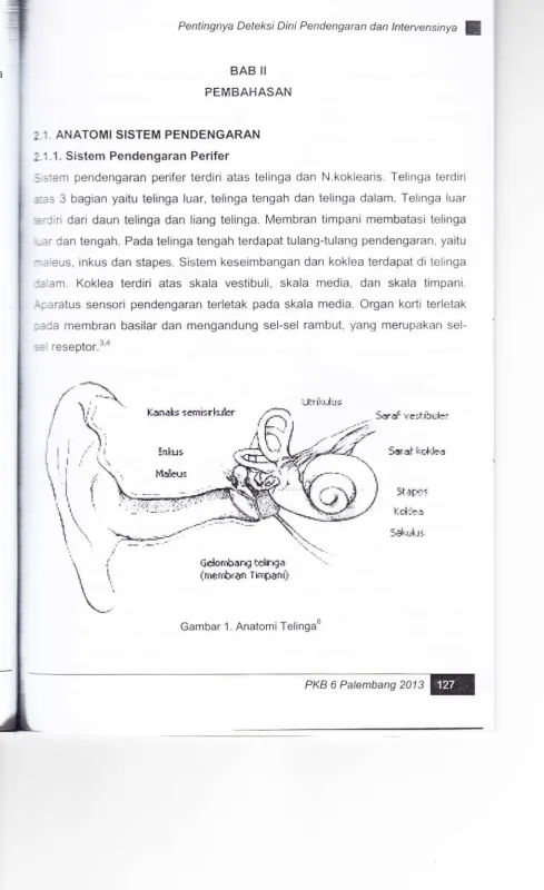 Gambar 1. Anatomi Telinga6
