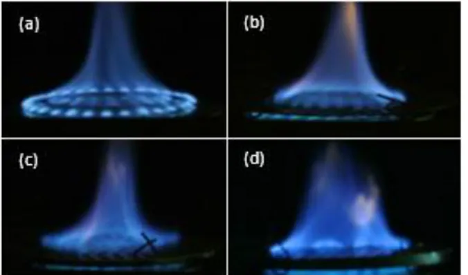 Gambar 5. Karakteristik api pada burner perforated 
