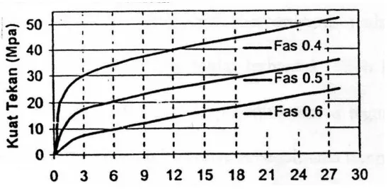Gambar 2. 2 Hubungan  antara  faktor  air  semen dengan kekuatan  beton selama masa perkembangannya (Tri Mulyono, 2003) 
