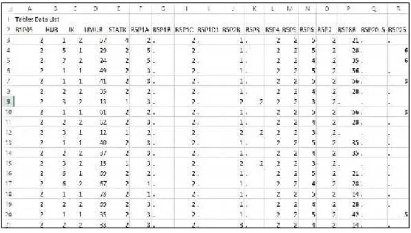 Gambar 4. 1 Print screen dataset dari Data Sakernas sebelum dilakukan Normalisasi dan Pembetulan data