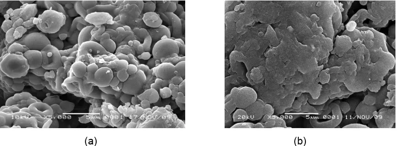 Gambar 1  Citra SEM permukaan mikrokapsul tersalut gel kitosan-alginat dengan konsentrasi Tween 80 3% serta waktu kontak antara larutan kitosan-alginat dan larutan ketoprofen 3 jam tanpa (a) dan dengan penambahan ketoprofen (b) pada perbesaran 5000× 