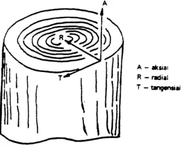 Gambar 2.1. Sumbu orientasi kayu 