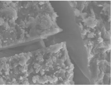 Figure 3   Ketoprofen microcapsule’s surface SEM image (3% alginate and 0.15 M CaCl2)  at 1500 times magnification