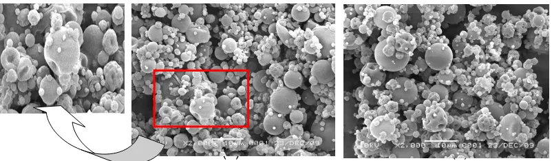 Gambar 1 Hasil SEM nanopartikel kitosan (a) tanpa ketoprofen dan (b) terisi ketoprofen 