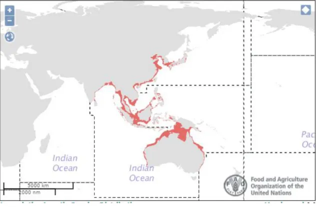 Gambar 1. Distribusi geografi P trituberculatus 