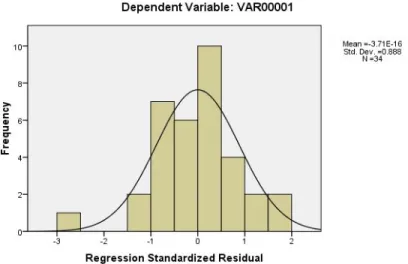 Gambar 4.17. Gambar grafik histogram  