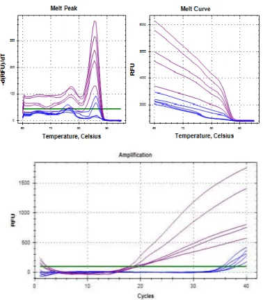 Figure  3  The  qPCR  amplification  of  ALP  gene  expressed  by  mice  MSCs  treated  with  D