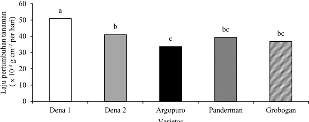 Gambar  6  dan  7  menunjukkan  pengaruh  interaksi  antara jenis naungan dengan varietas terhadap laju asimilasi  bersih  kedelai