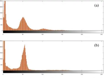 Gambar 4.14 menunjukkan citra hasil preprocessing yang siap di- di-lakukan  segmentasi  menggunakan  Fernandez-Steel  Skew  Normal  (FSSN) mixture model dengan pendekatan Bayesian