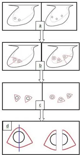 Gambar  2.  Bagan  alir  pemotongan  mutiara  dari  cangkang  (garis  merah):  cangkang  yang  di  dalamnya  ada  mutiara mabé (a), pemotongan mutiara  mabé dari cangkang (b), mutiara mabé  yang  sudah  di  pisahkan  dari  cangkang  (c)  dan  pembelahan  m