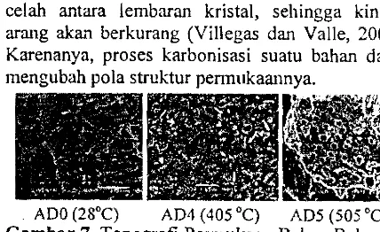 Gambar 7. Topografi Pennukaan Bahan Baku dan 