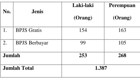 Tabel 4.11 Masyarakat Pengguna BPJS Kesehatan di Desa  Sungai Tuan Ulu 