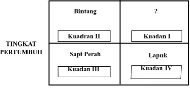 Gambar 3. Posisi Pangsa Pasar Relatif