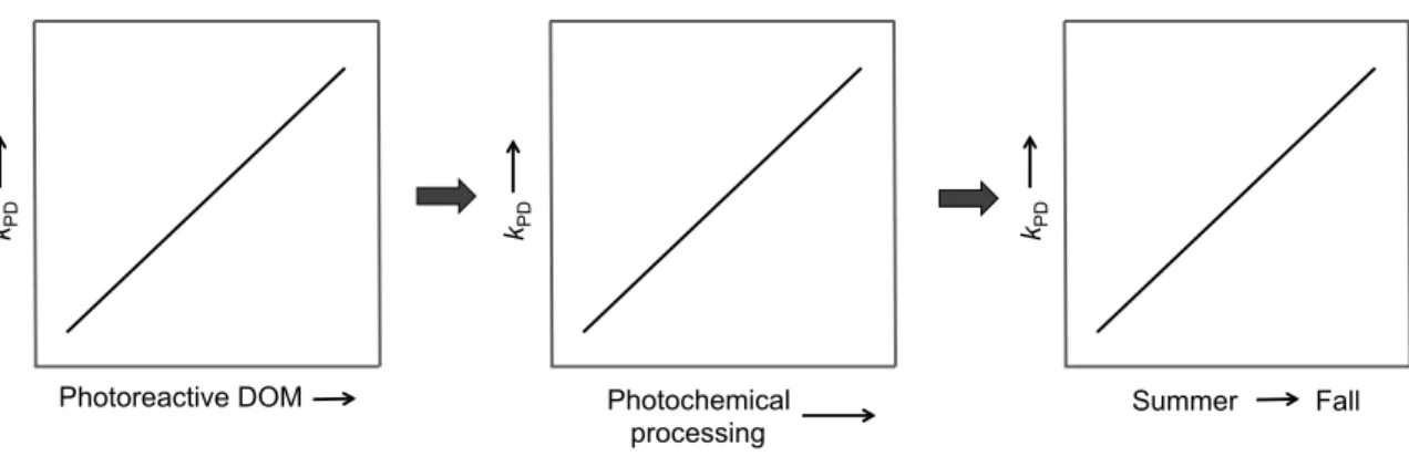 Figure  1.2  Initial  predictions  for  Chapter  3  –  increased  photoreactive  dissolved  organic  matter  (DOM)  will  increase  MeHg  photodemethylation  rate  constants  (k PD ),  which  means  that  photochemical  processing  of  DOM  will  also  inc