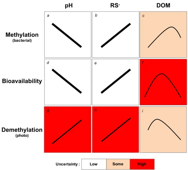 Figure  1.7  Summary  of  general  uncertainty  (low,  some,  high)  associated  with  bacterial  methylation  of  methylmercury  (MeHg),  bioavailability  of  MeHg  to  organisms,  and  MeHg  photodemethylation given three key water chemistry parameters: 